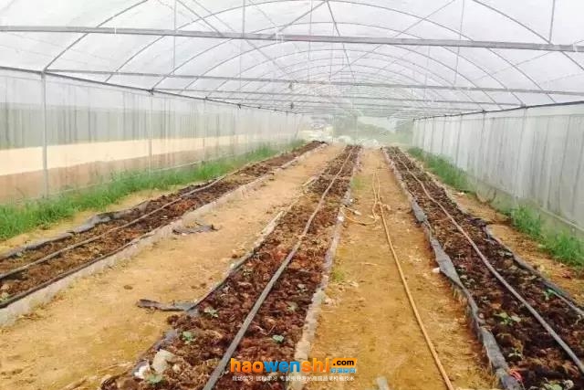 地下式.jpg 地下式.jpg