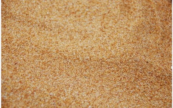 戳我試試 戳我試試