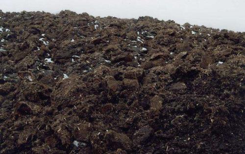 戳我試試 戳我試試