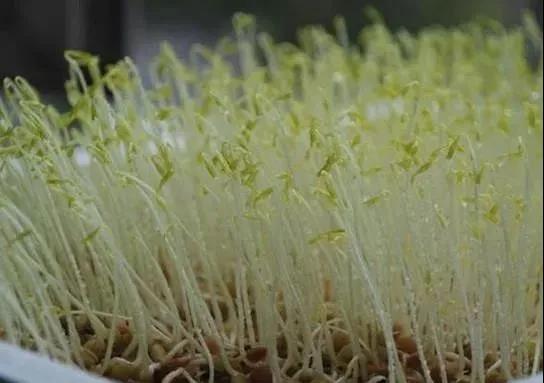 戳我試試 戳我試試