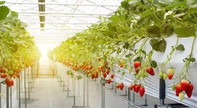 2023082964651209.jpg 2023082964651209.jpg