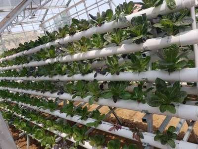 t012d5f7165dfad6bbe.jpg t012d5f7165dfad6bbe.jpg