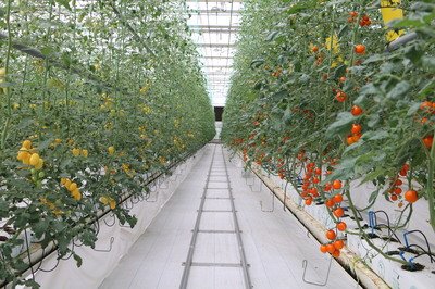 t016b9b34987b6e270a.jpg t016b9b34987b6e270a.jpg